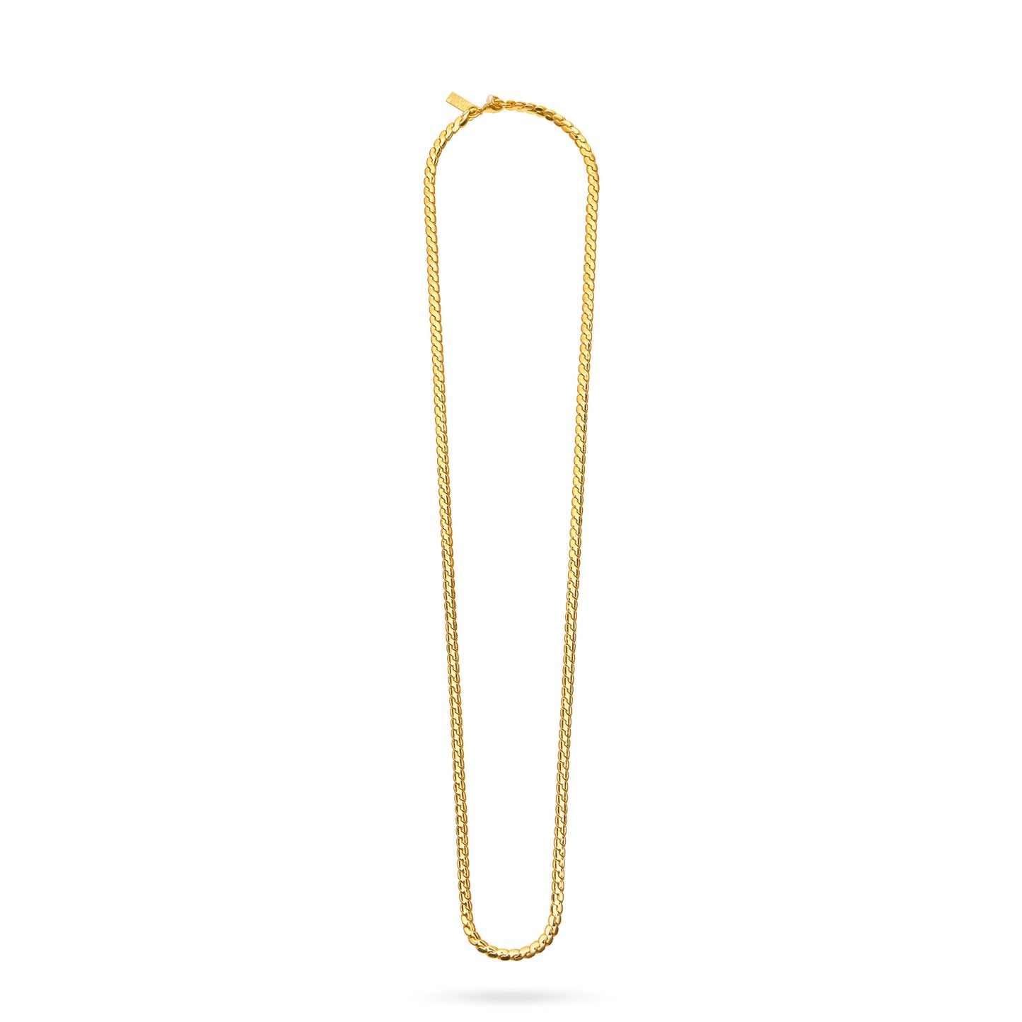 Snake Chain Long Necklace