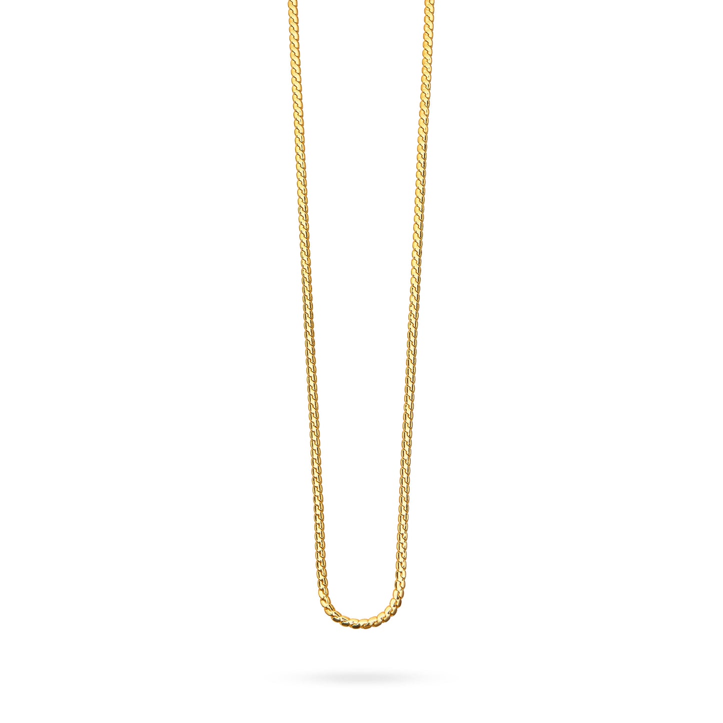 Snake Chain Long Necklace