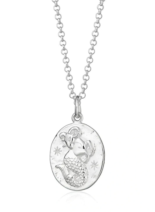 Capricorn Zodiac Necklace - Silver