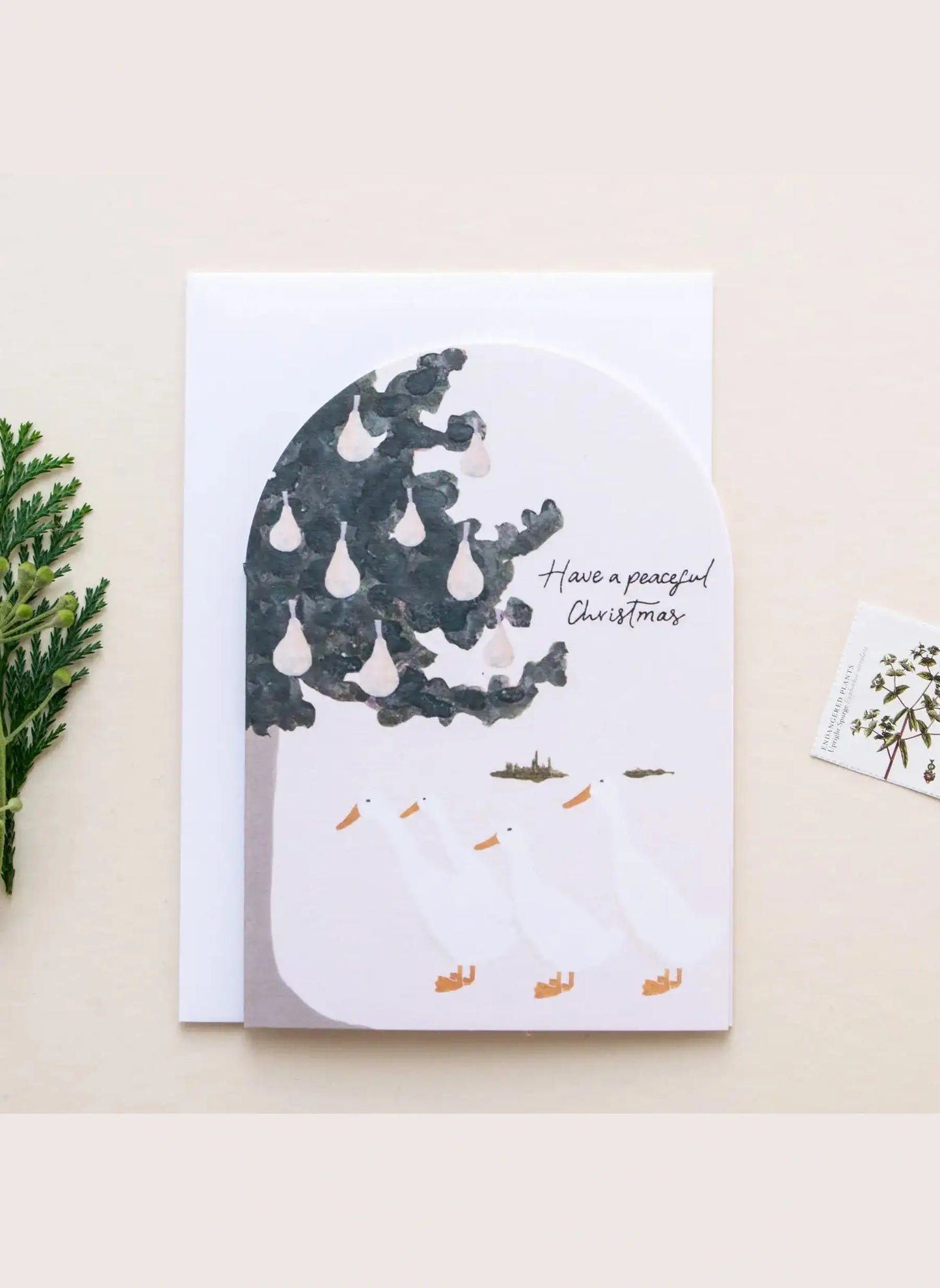 'Festive White Ducks' Christmas Card