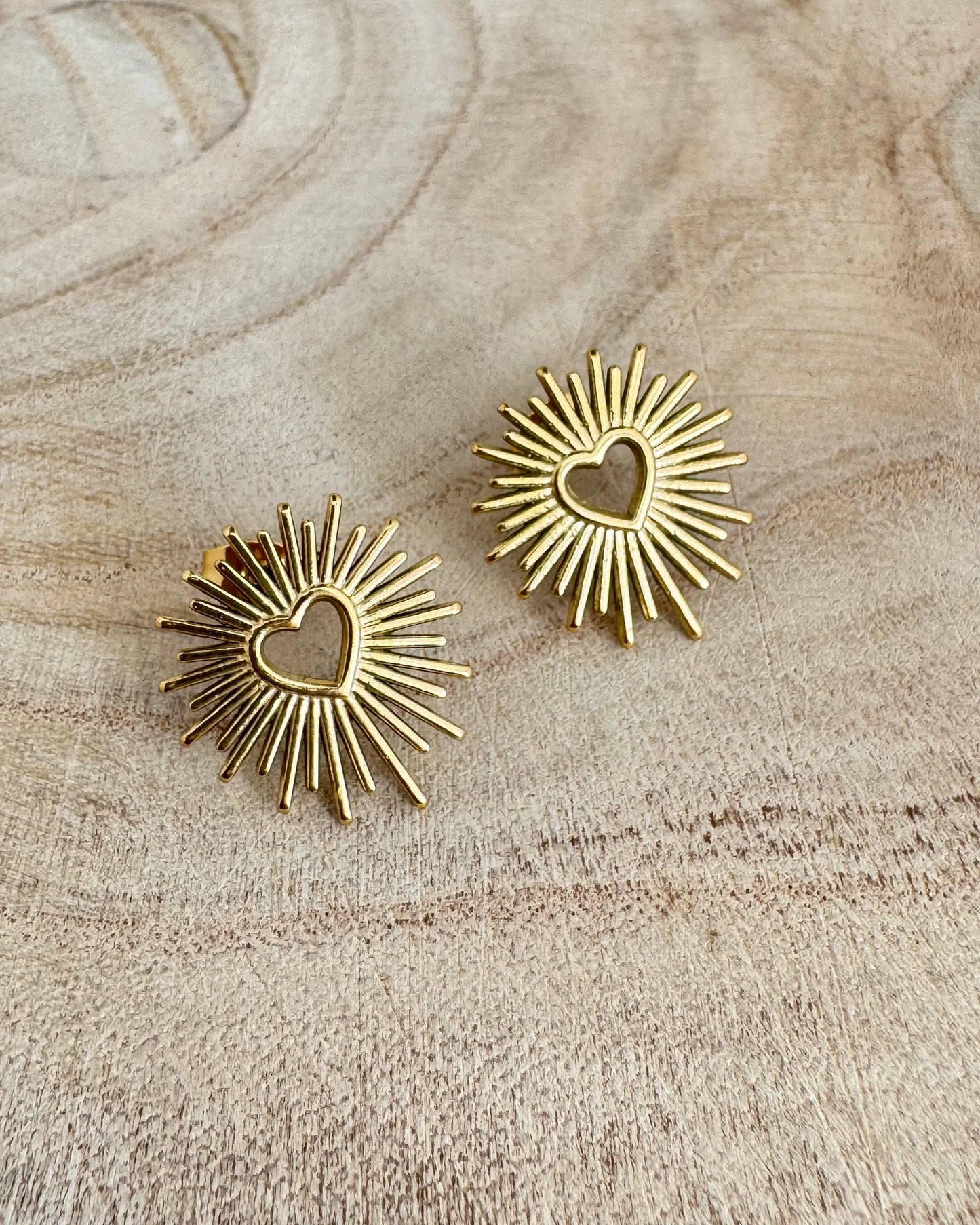The Loveburst Gold Plated Waterproof Earrings