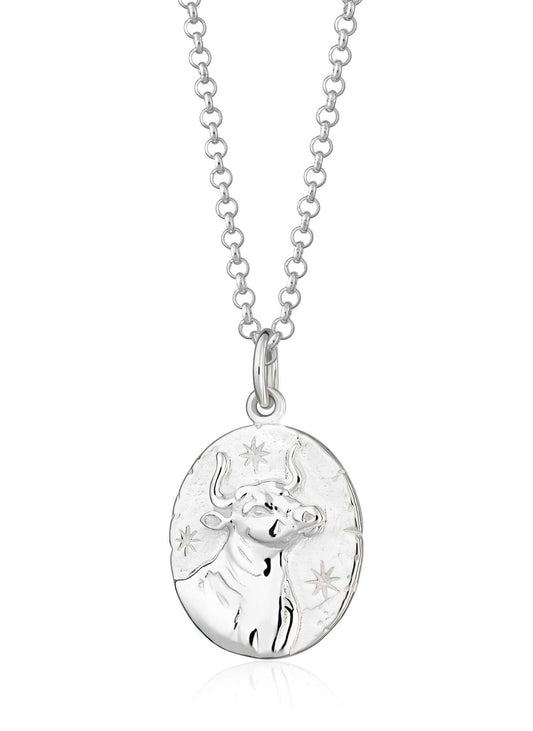 Taurus Zodiac Necklace - Silver